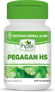 Pegagan HS