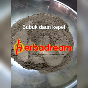 Bubuk Daun Kepel Stelechocarpus burahol