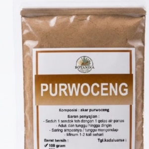Purwoceng Bubuk 100 Gram