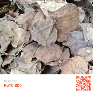 Daun Tabat Barito Kering 100 gram